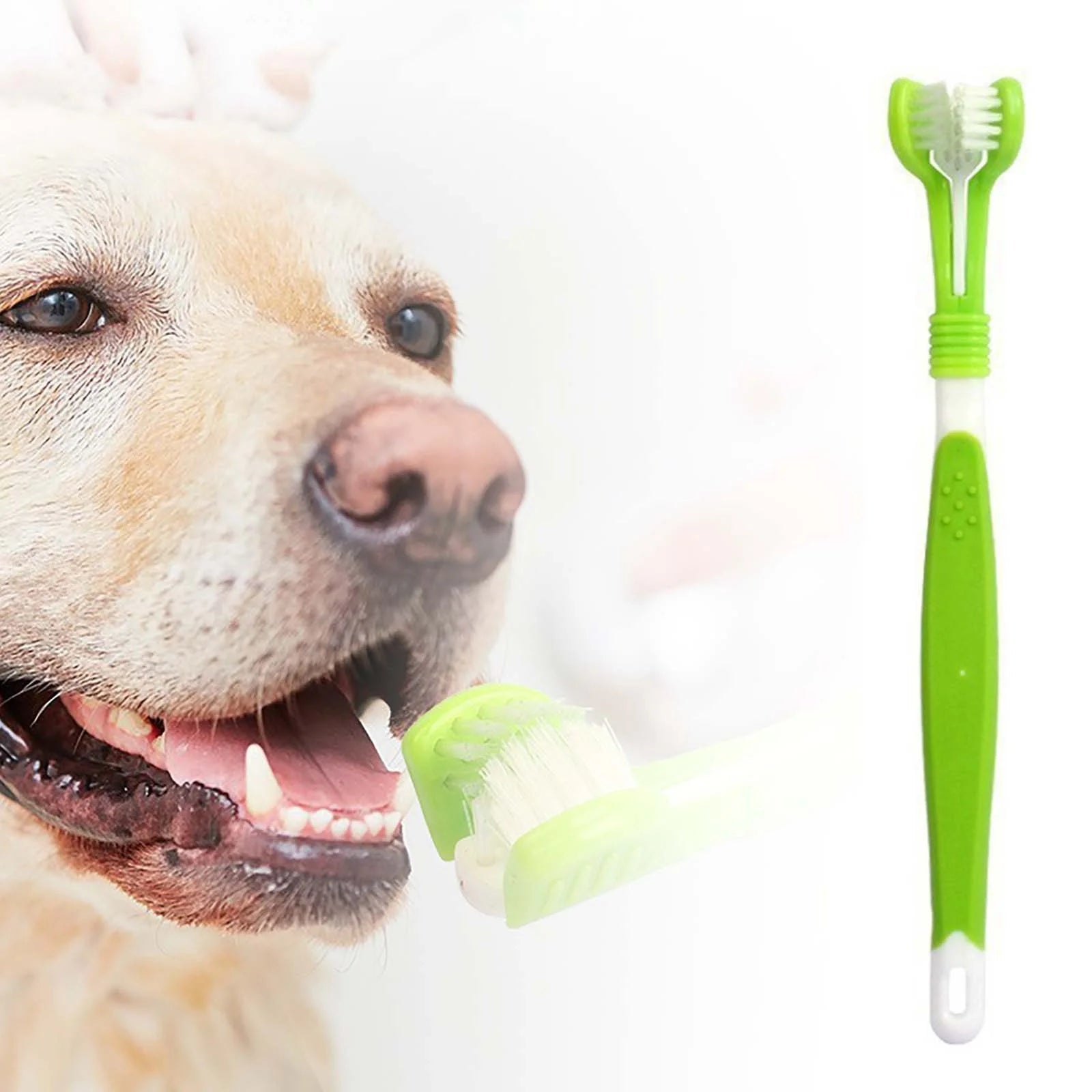 Darilox Dental – Simple Oral Care for Fresh Breath